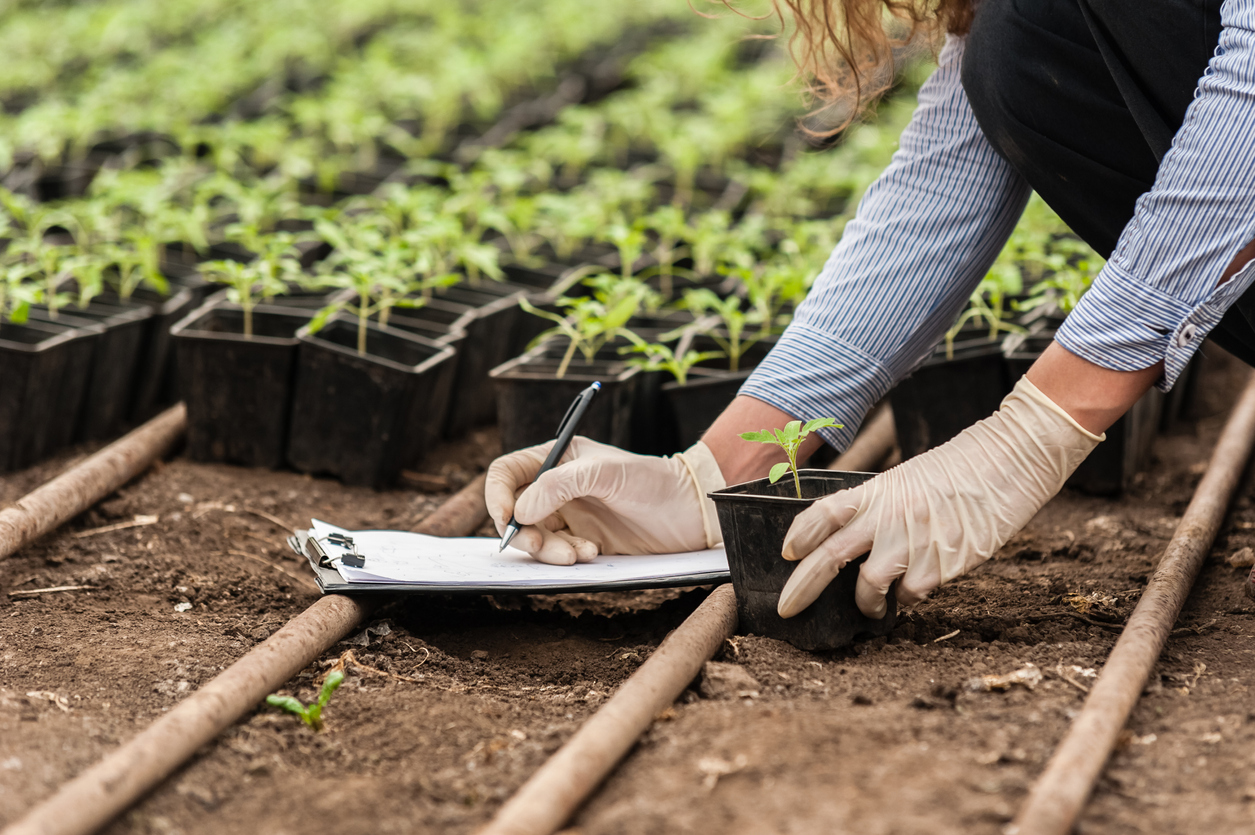 Técnico em Agronegócio